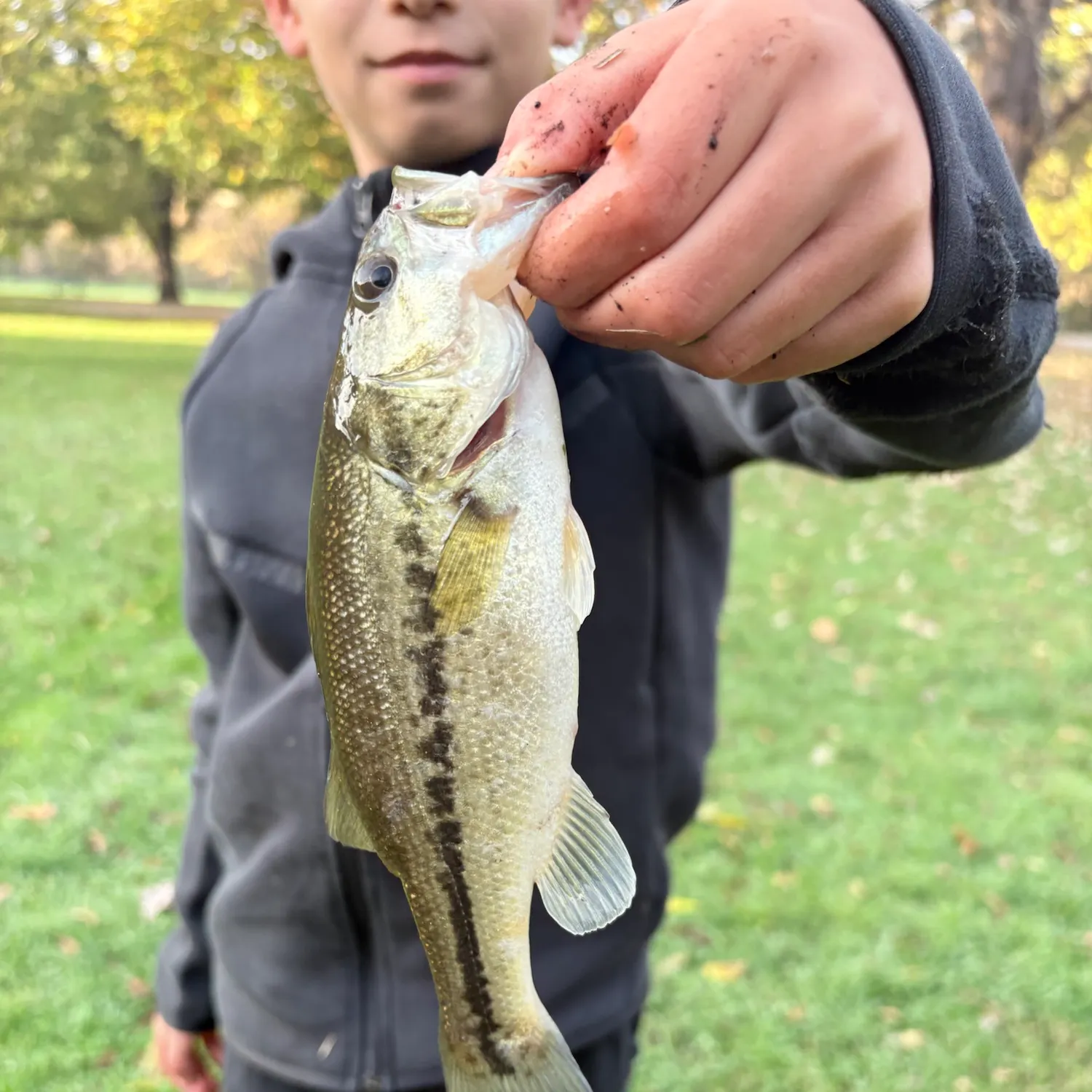 The most recent Spotted bass catches on Fishbrain