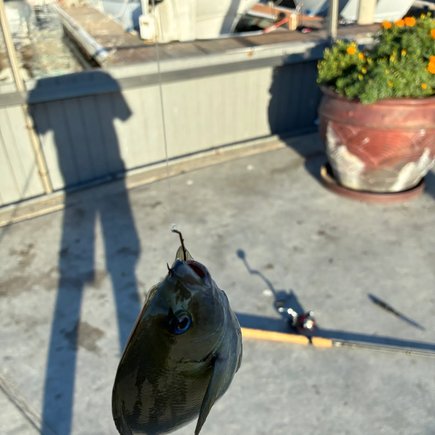 catch