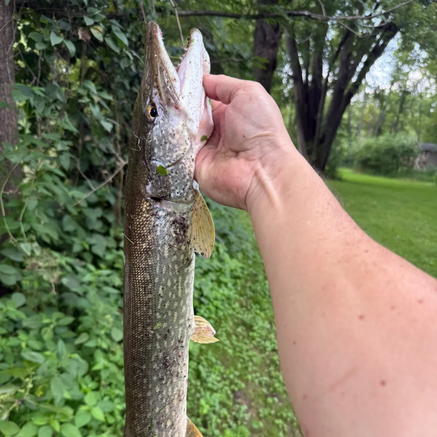 catch