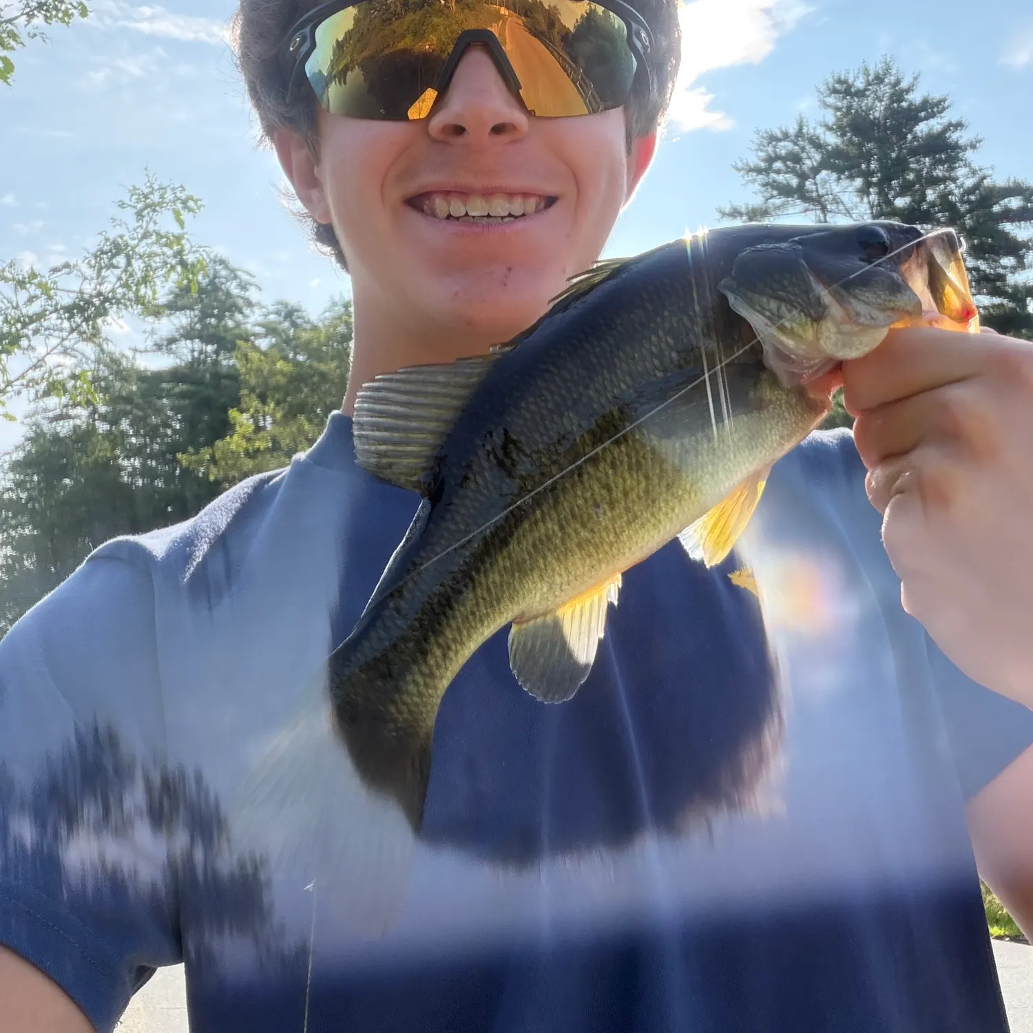 Largemouth bass caught on Fishbrain