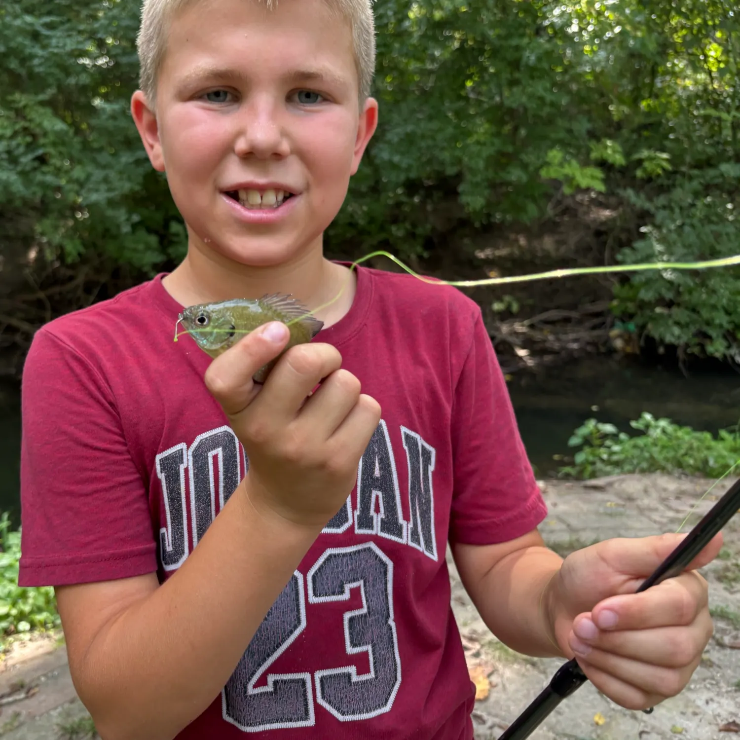Bluegill caught on Fishbrain