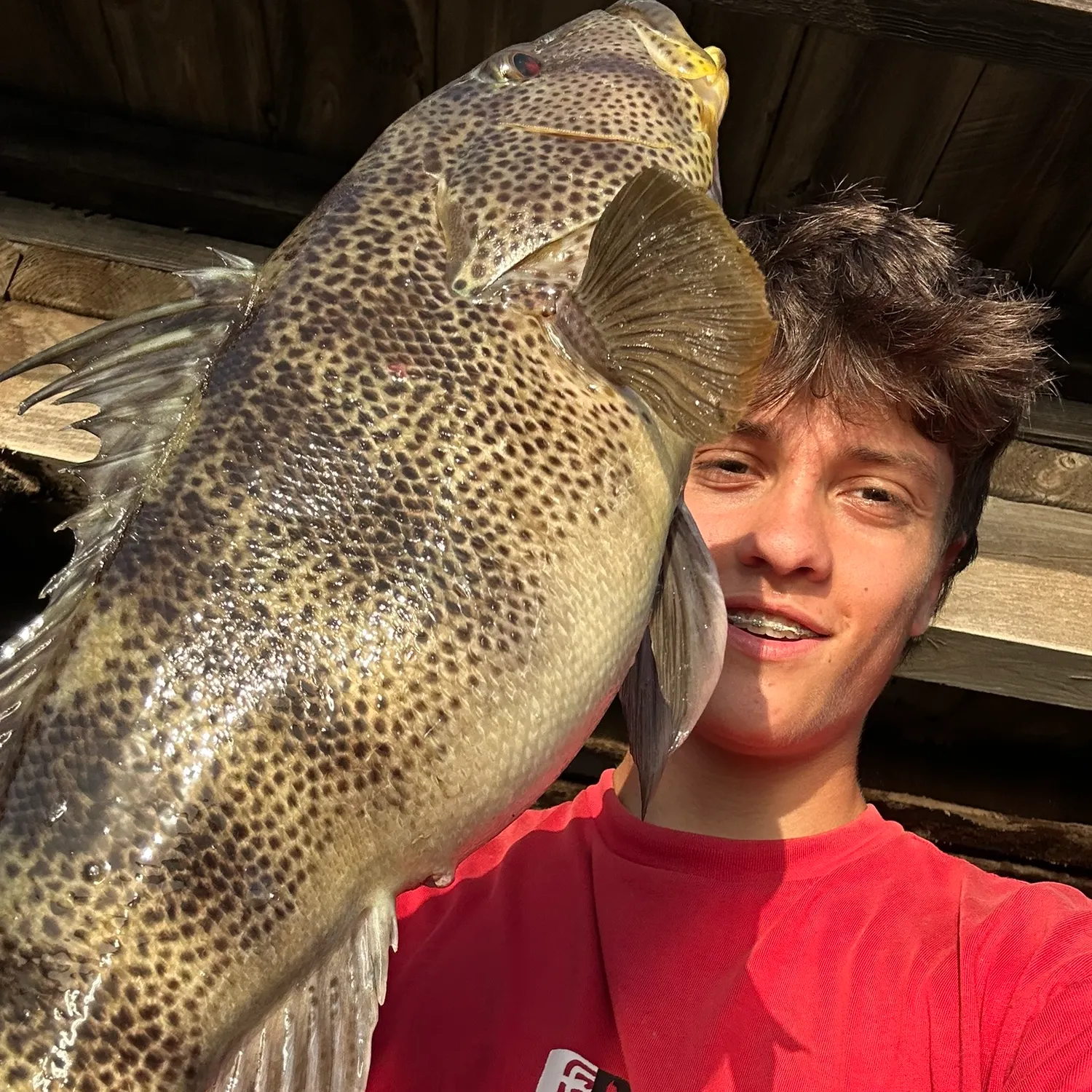 Spotted sand bass caught on Fishbrain