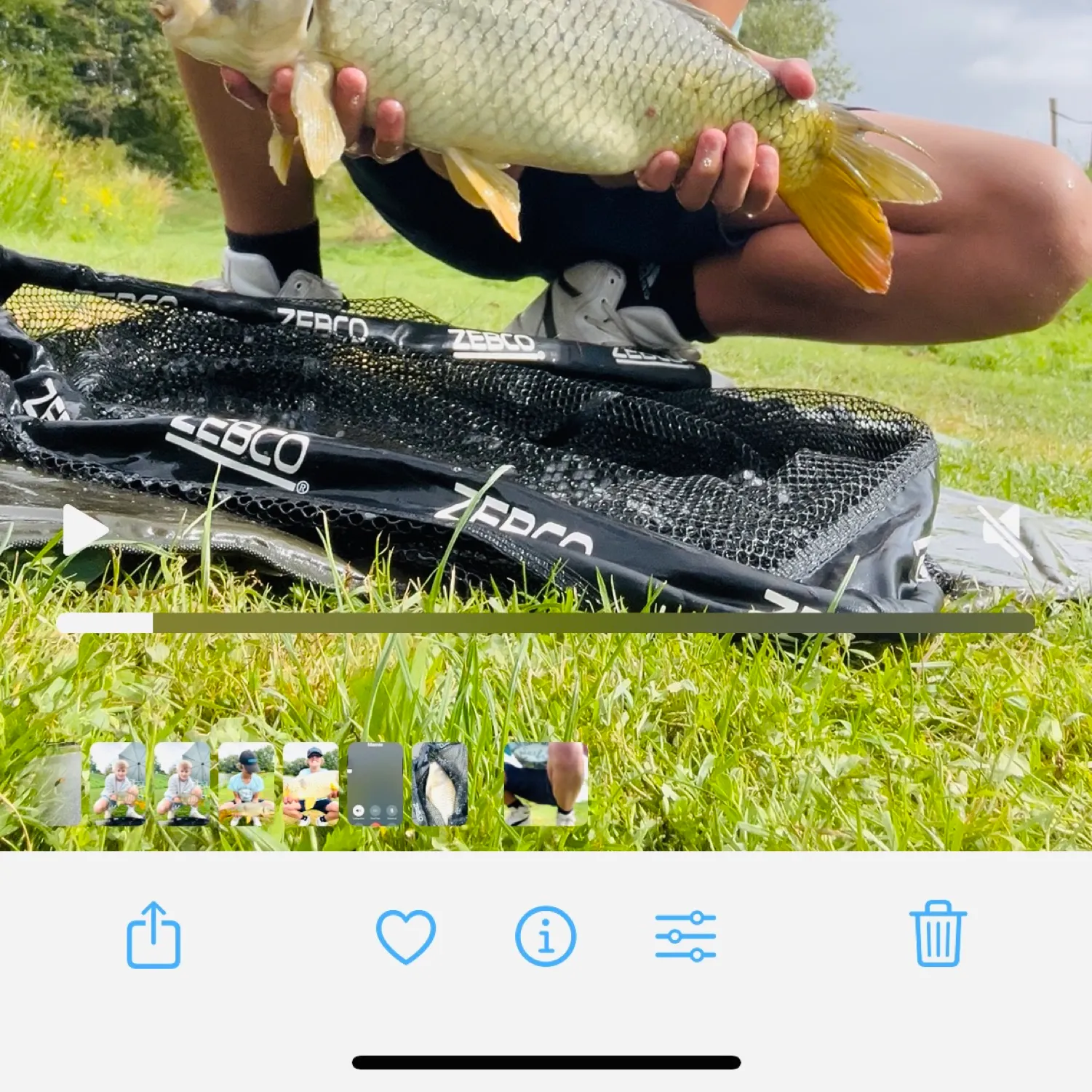 recently logged catches