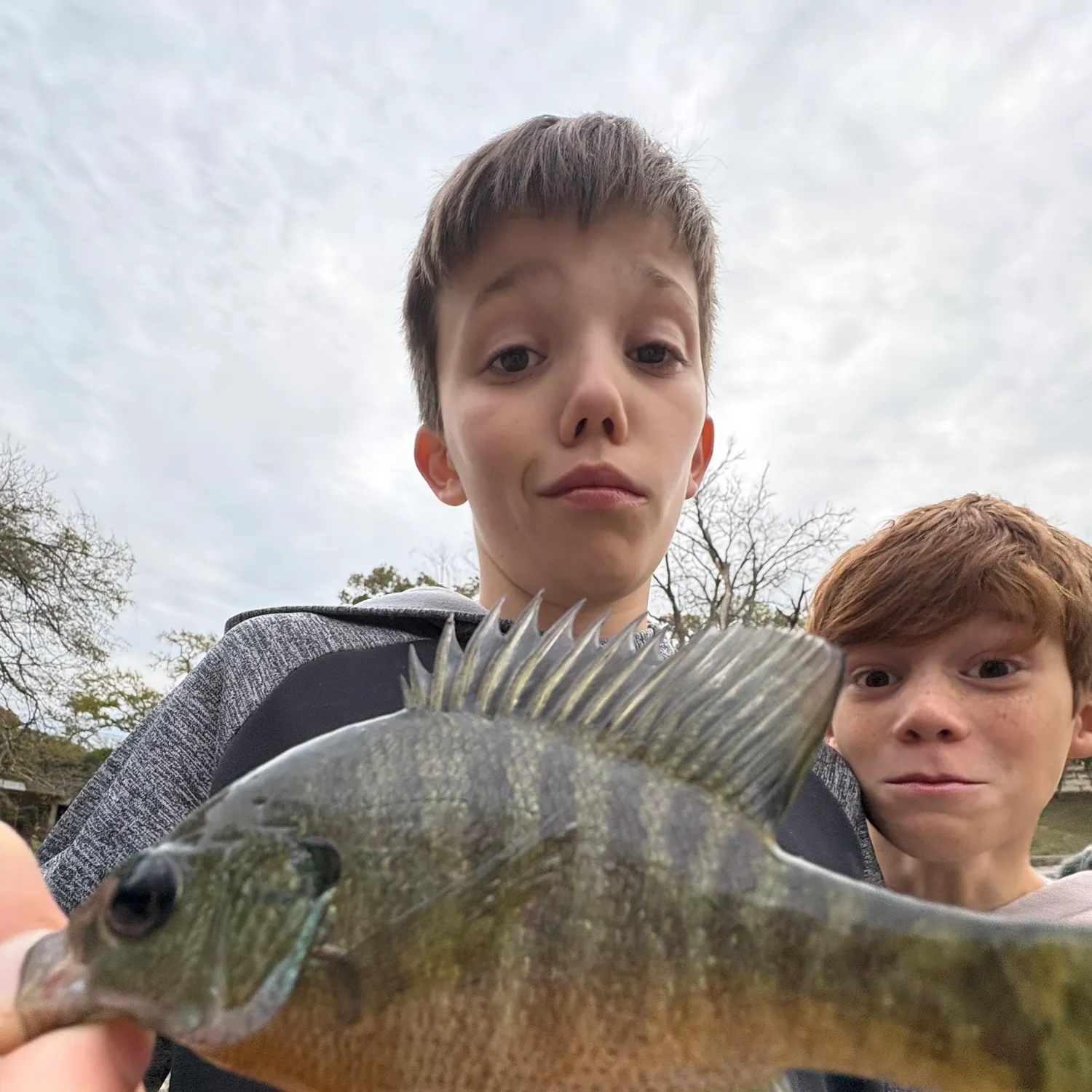 The most recent Bluegill catches on Fishbrain