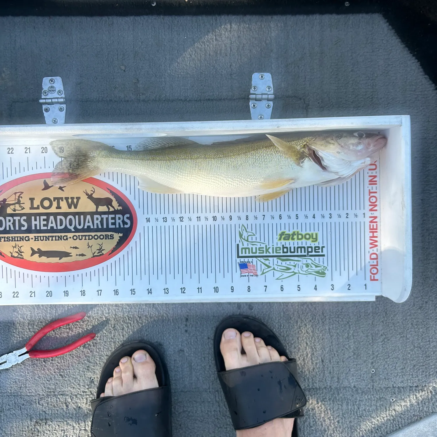 recently logged catches