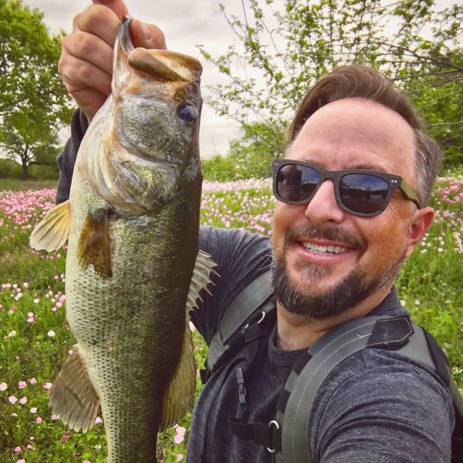 angler catch