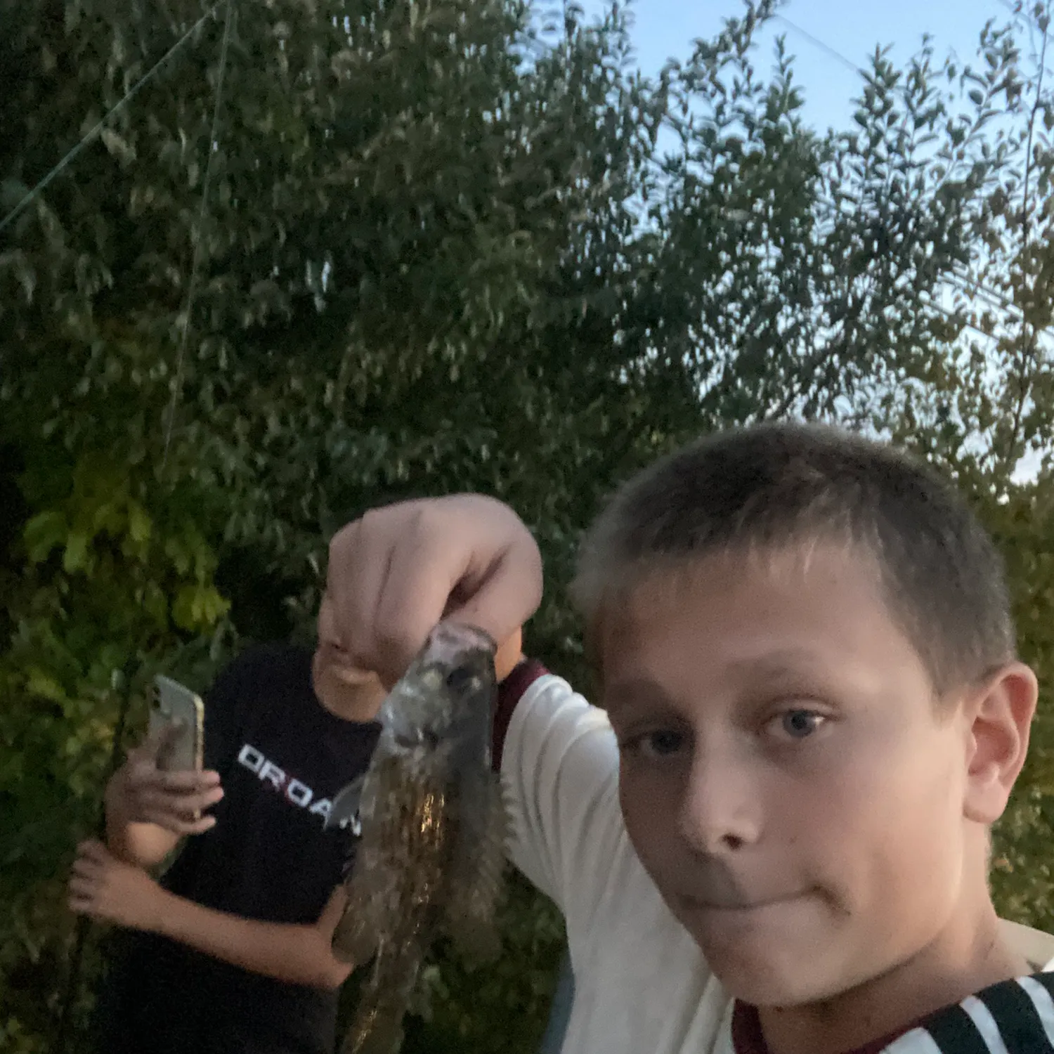 Rock bass caught on Fishbrain