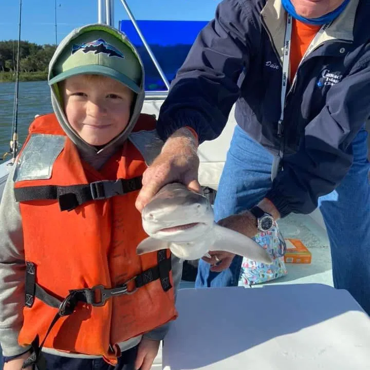 The most recent Bull shark catches on Fishbrain