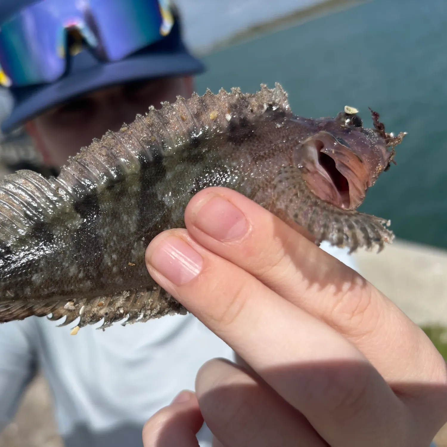 The most recent Largemouth blenny catches on Fishbrain
