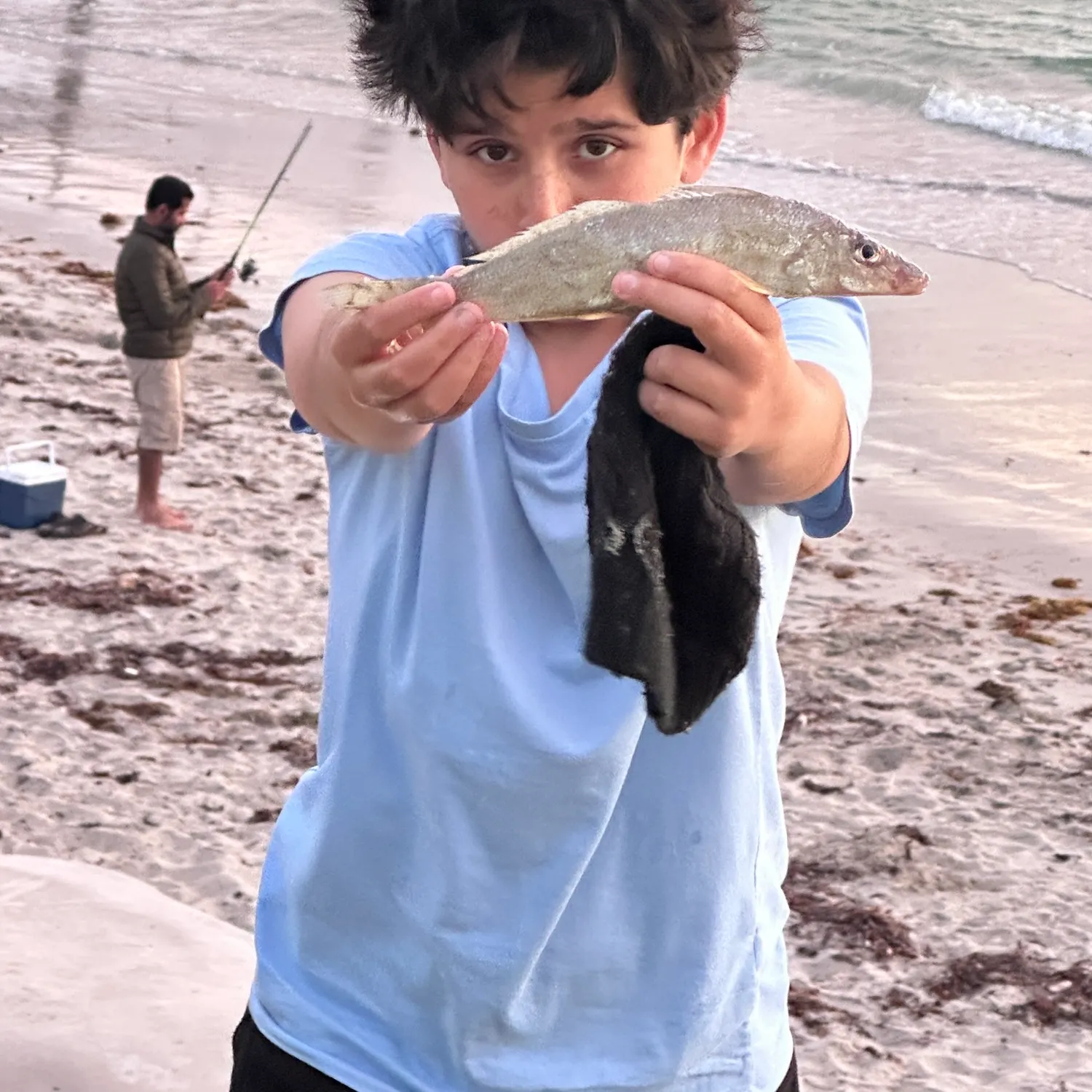 Sand sillago caught on Fishbrain