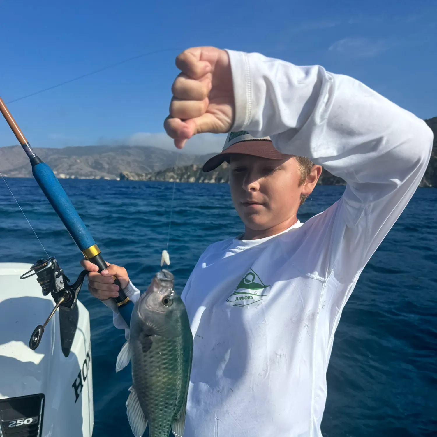 The most recent Blacksmith catches on Fishbrain