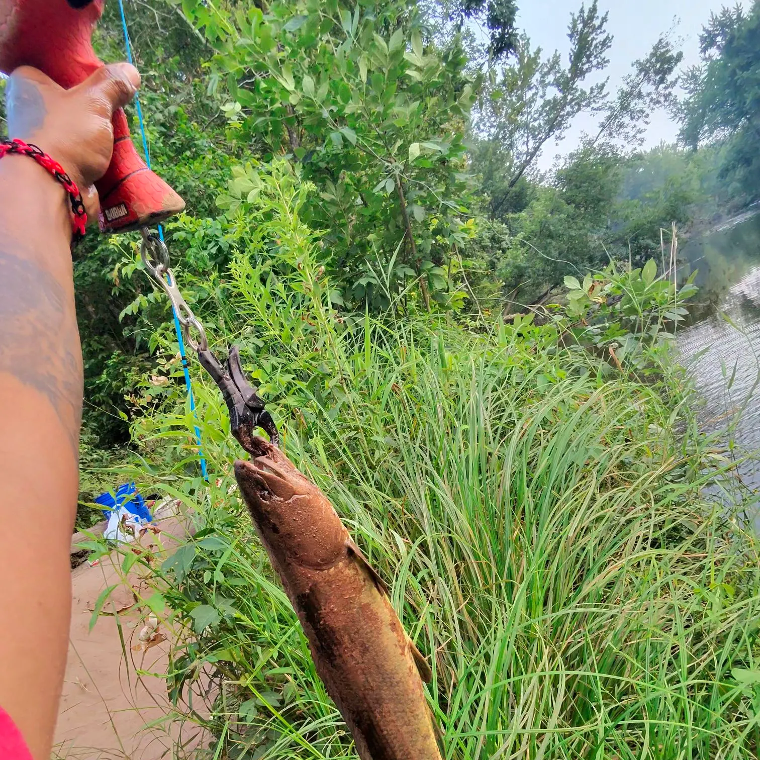 catch