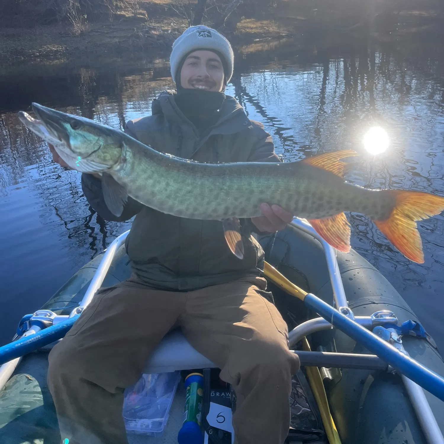 The most recent Muskellunge catches on Fishbrain