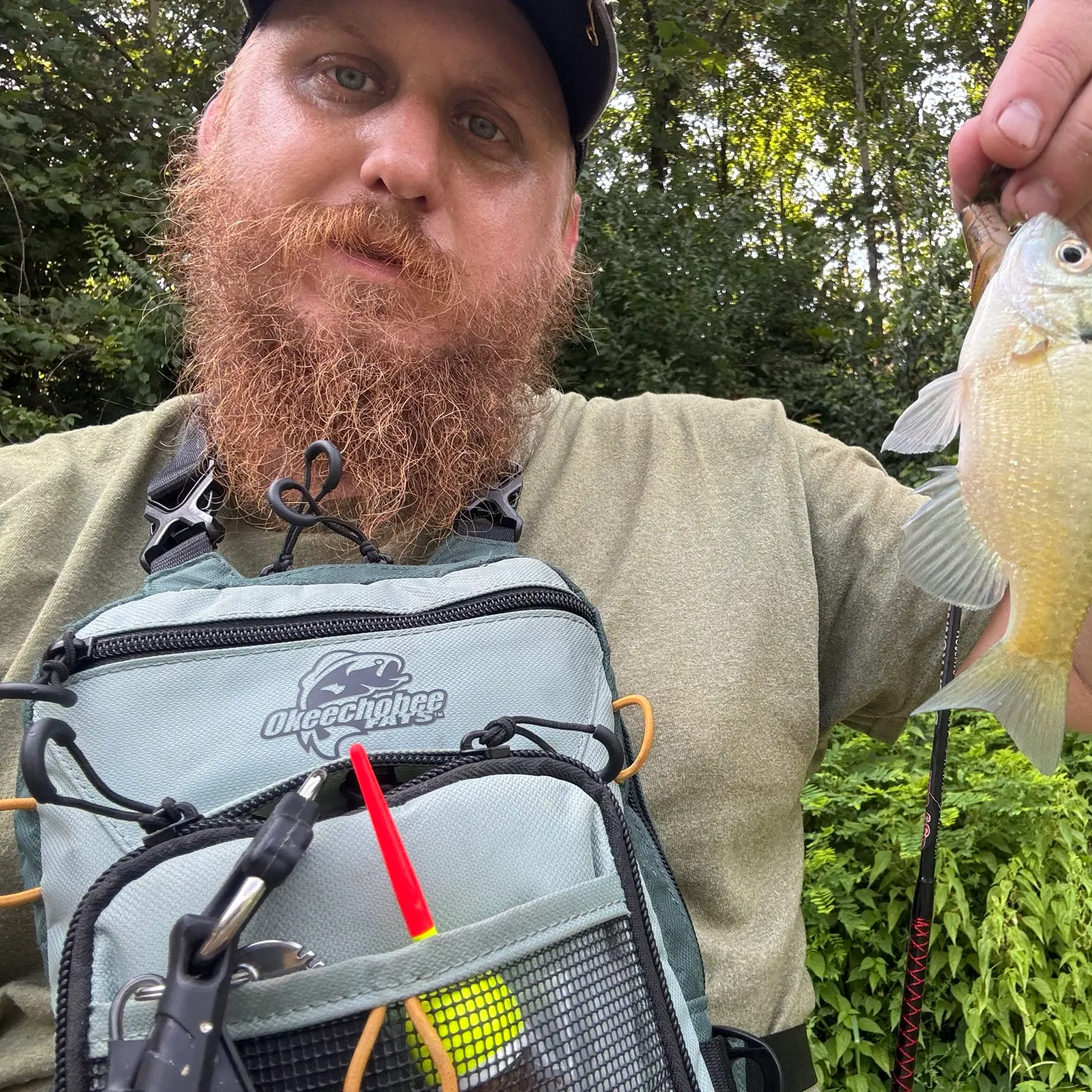 Bluegill caught on Fishbrain