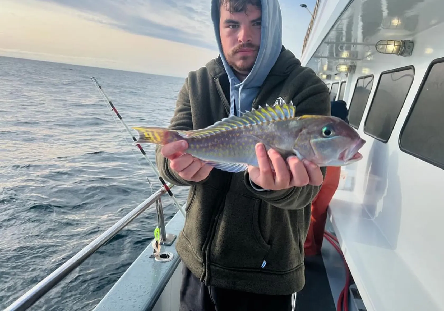 Great northern tilefish