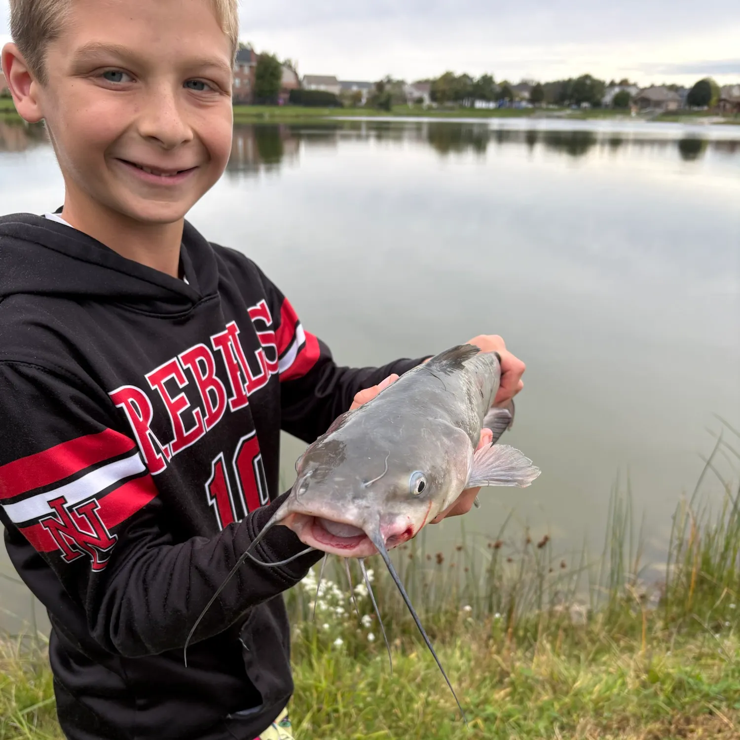 Channel catfish caught on Fishbrain