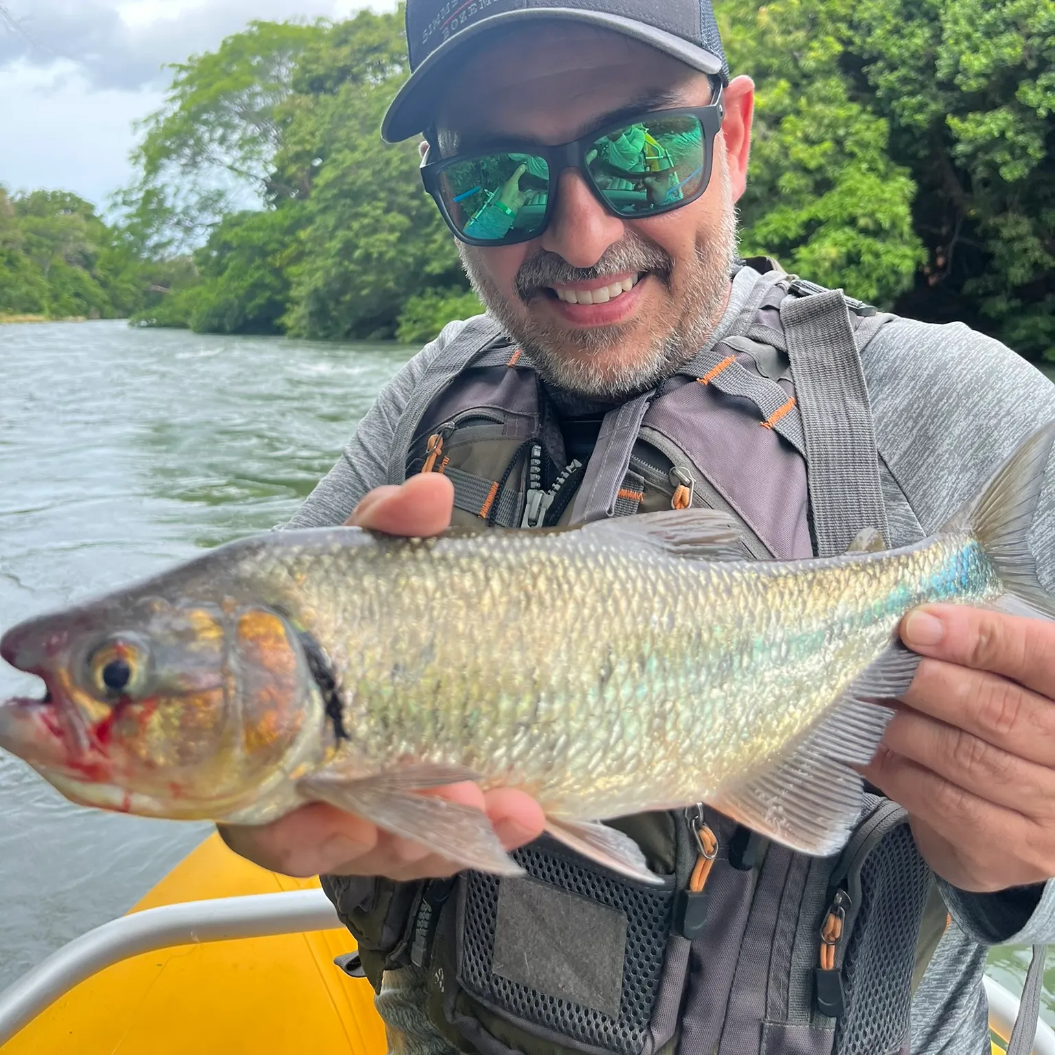 The most recent Machaca catches on Fishbrain