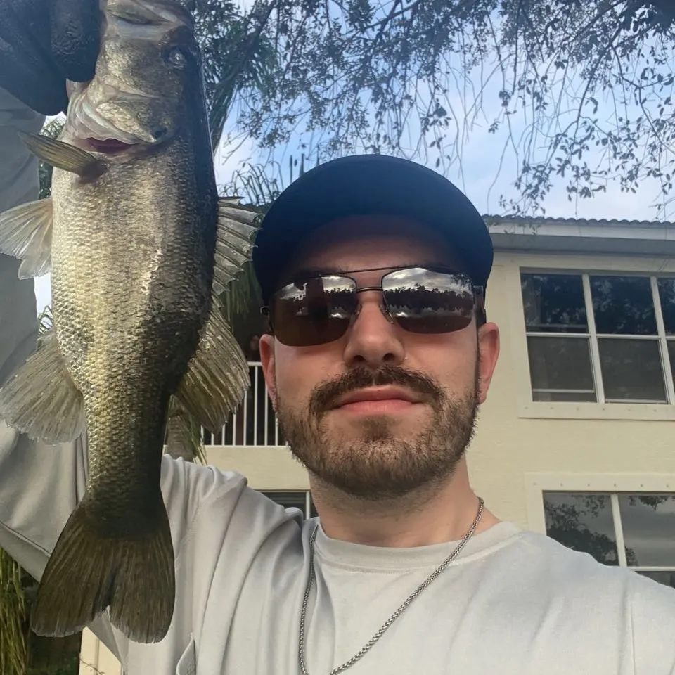 The most recent Florida bass catches on Fishbrain