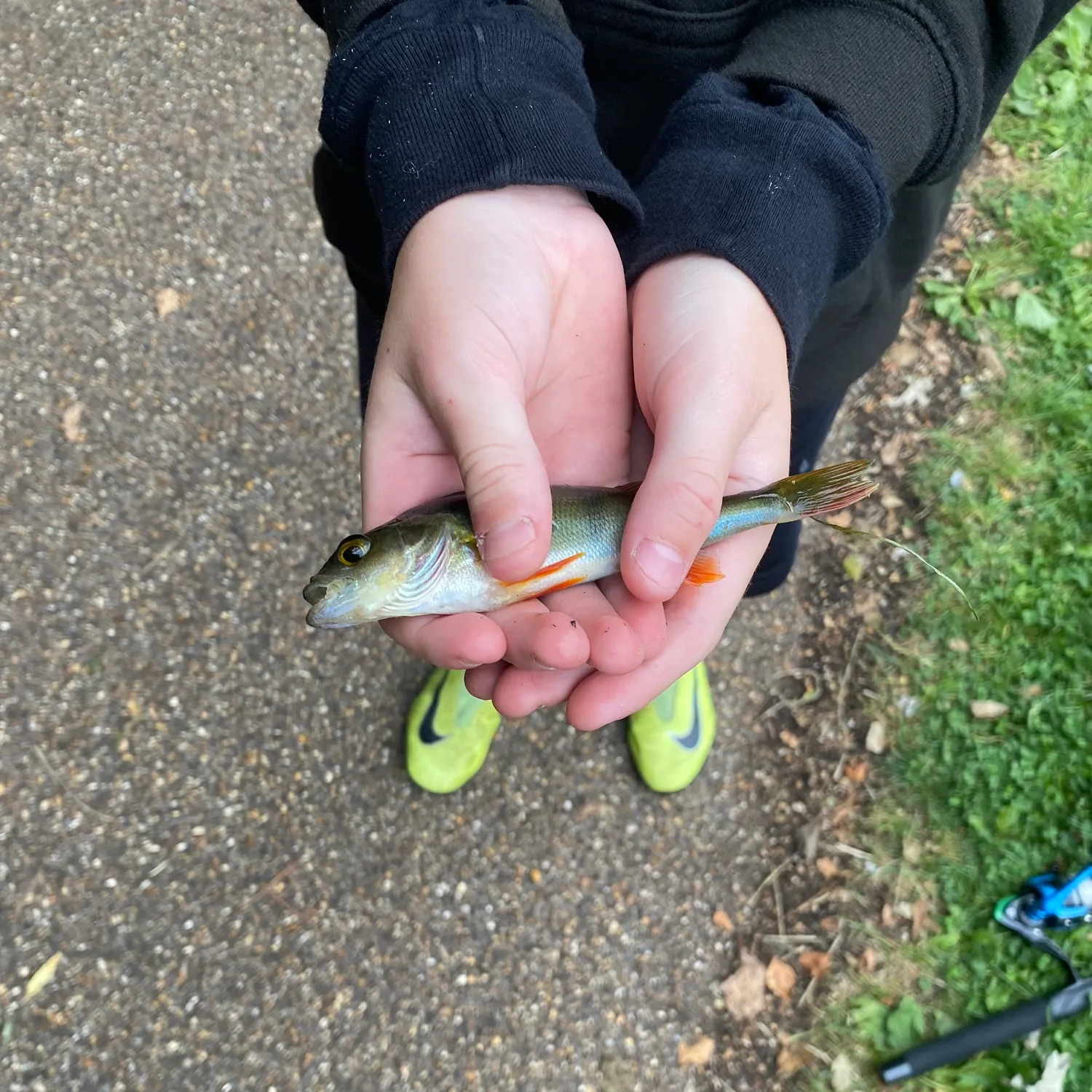 Fish caught on Fishbrain