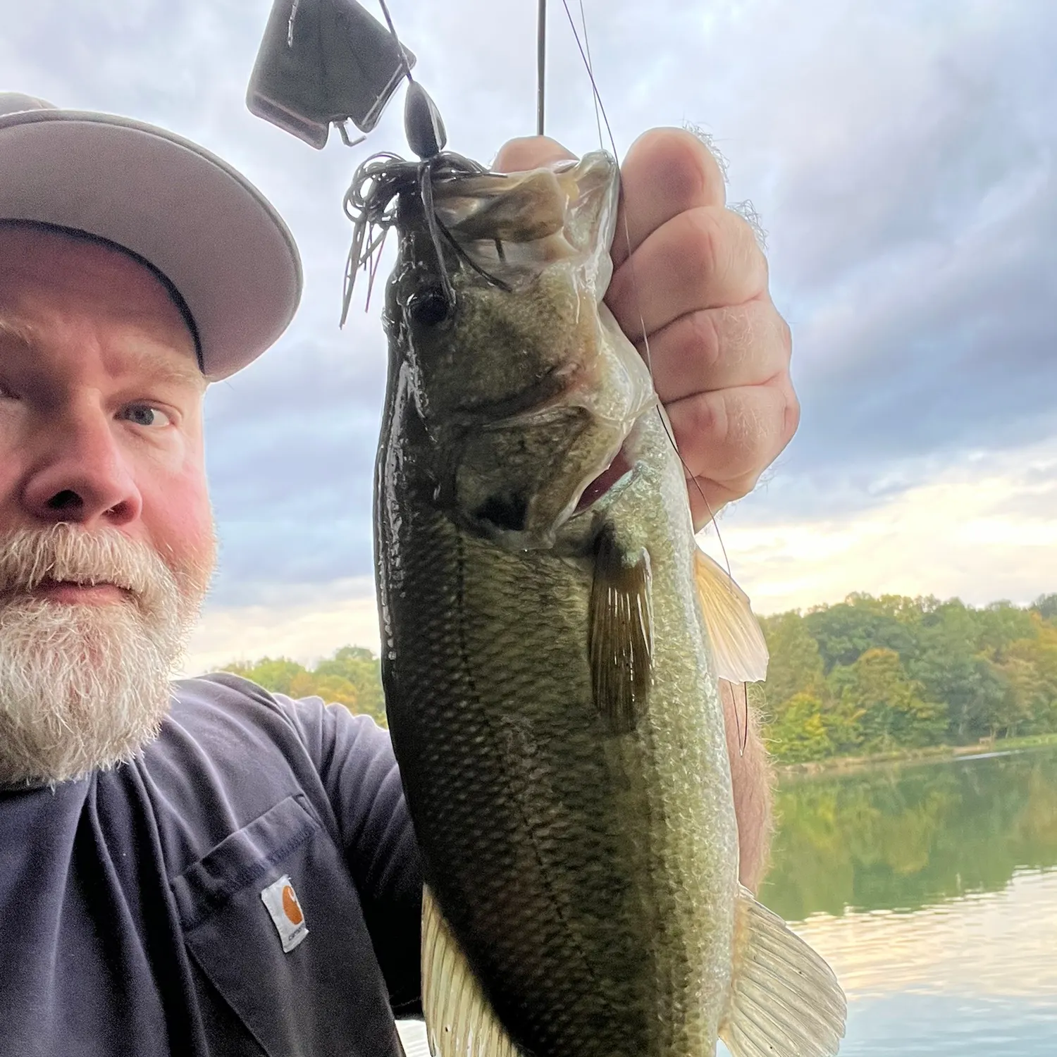Largemouth bass caught on Fishbrain