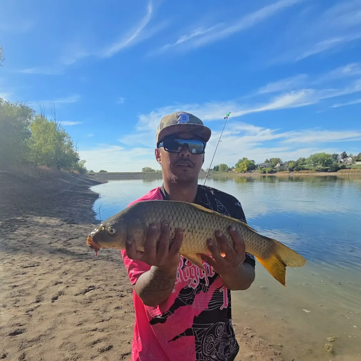 Common carp caught on Fishbrain