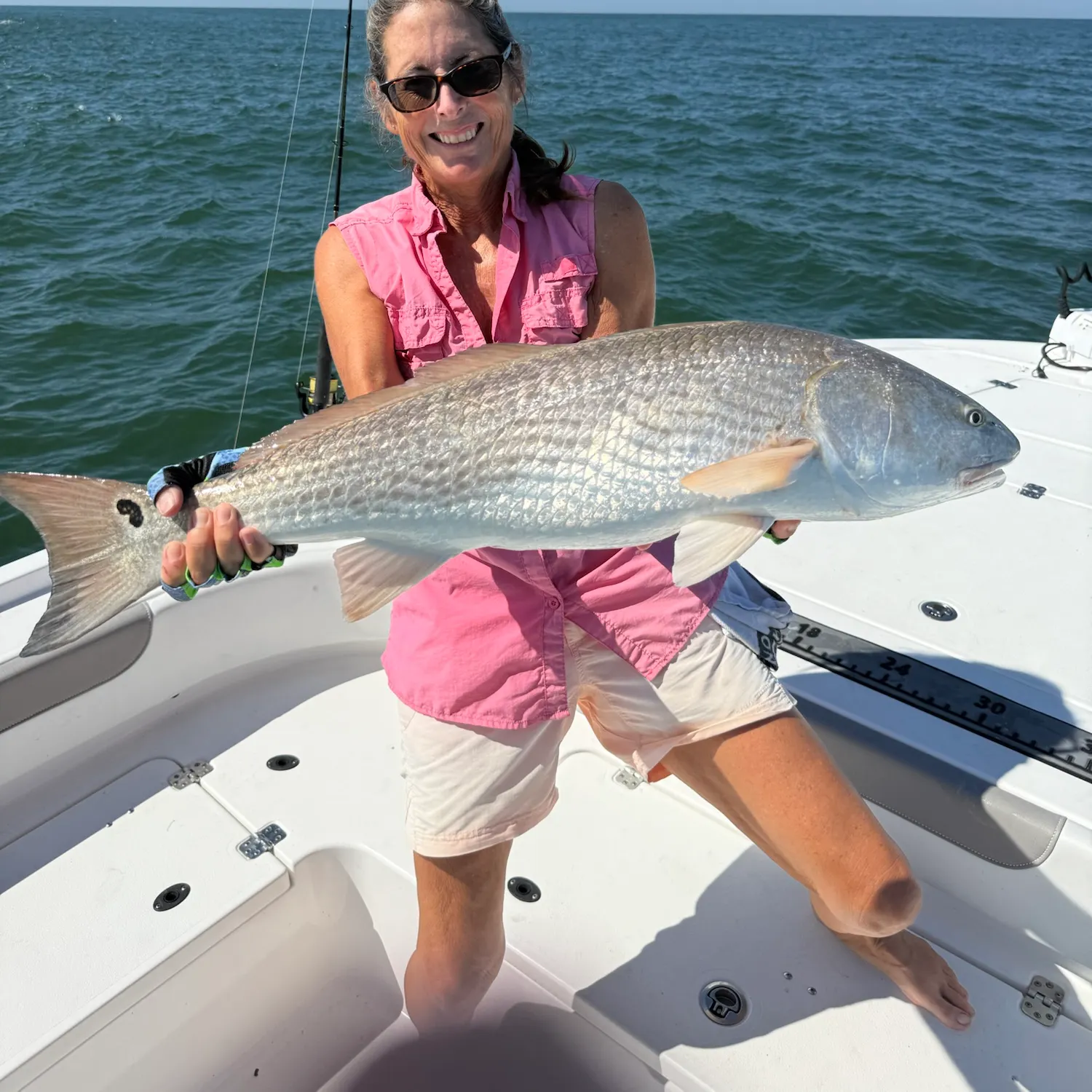 The most recent Red drum catches on Fishbrain