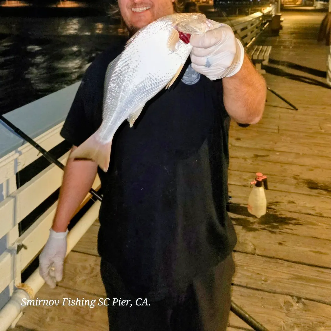 Yellowfin croaker caught on Fishbrain