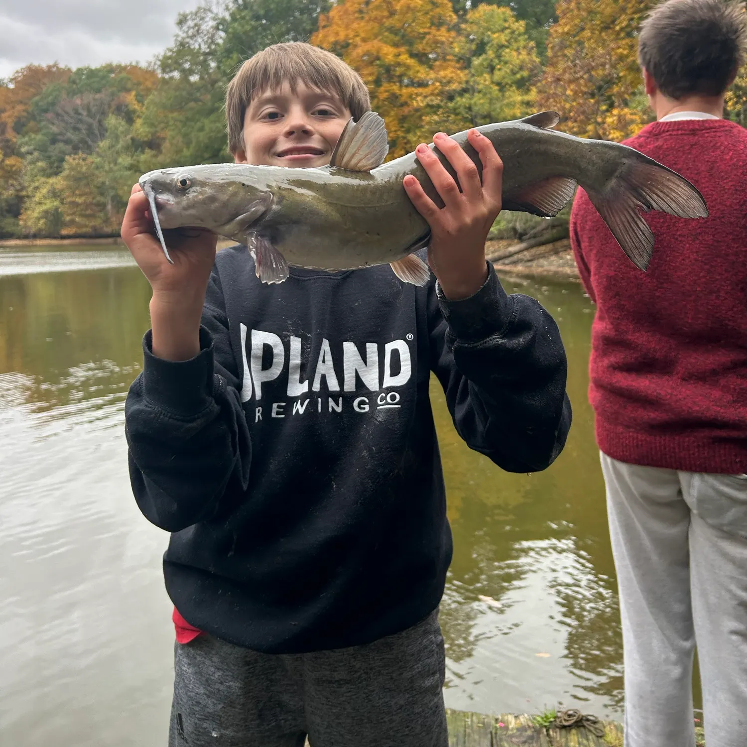 Channel catfish caught on Fishbrain