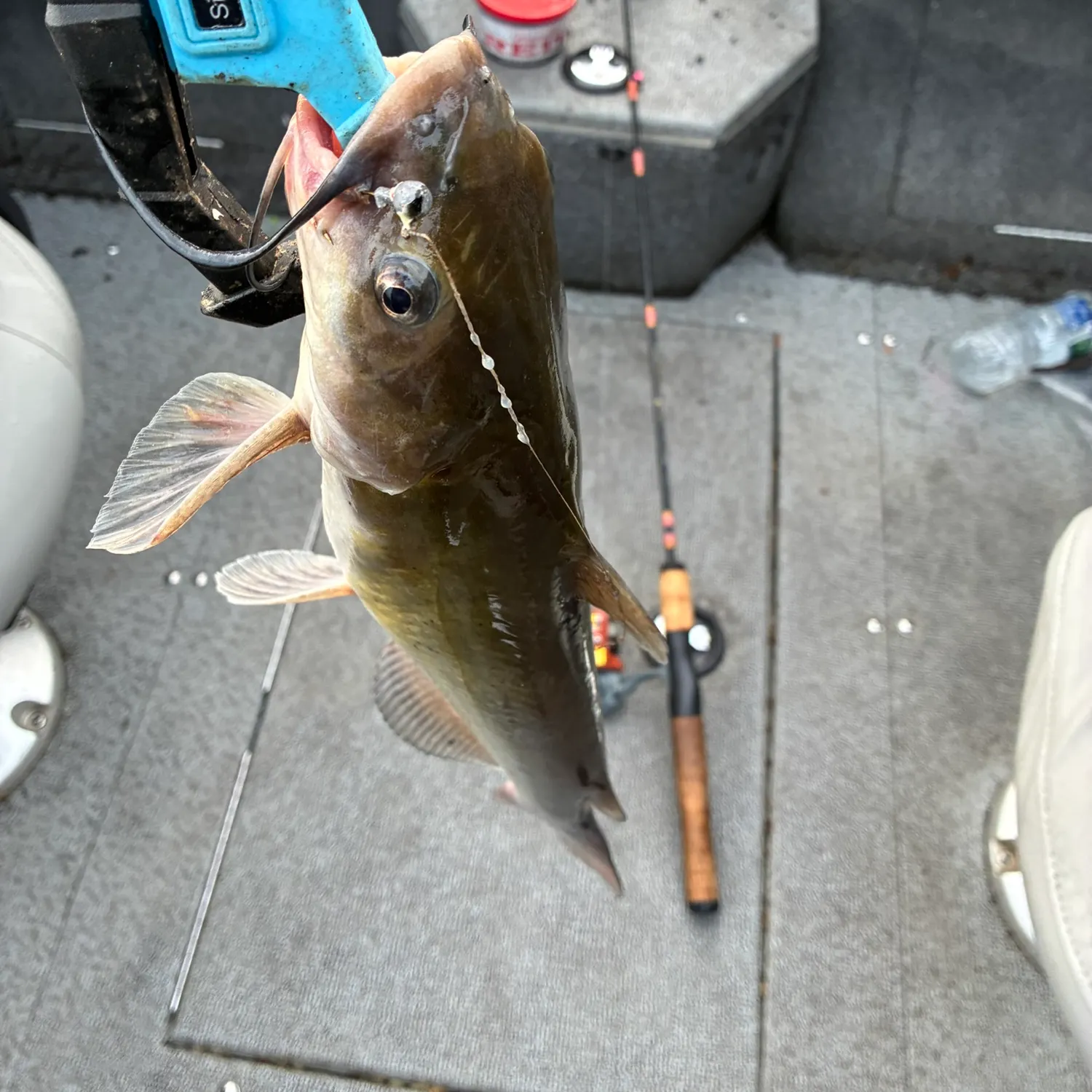 catch