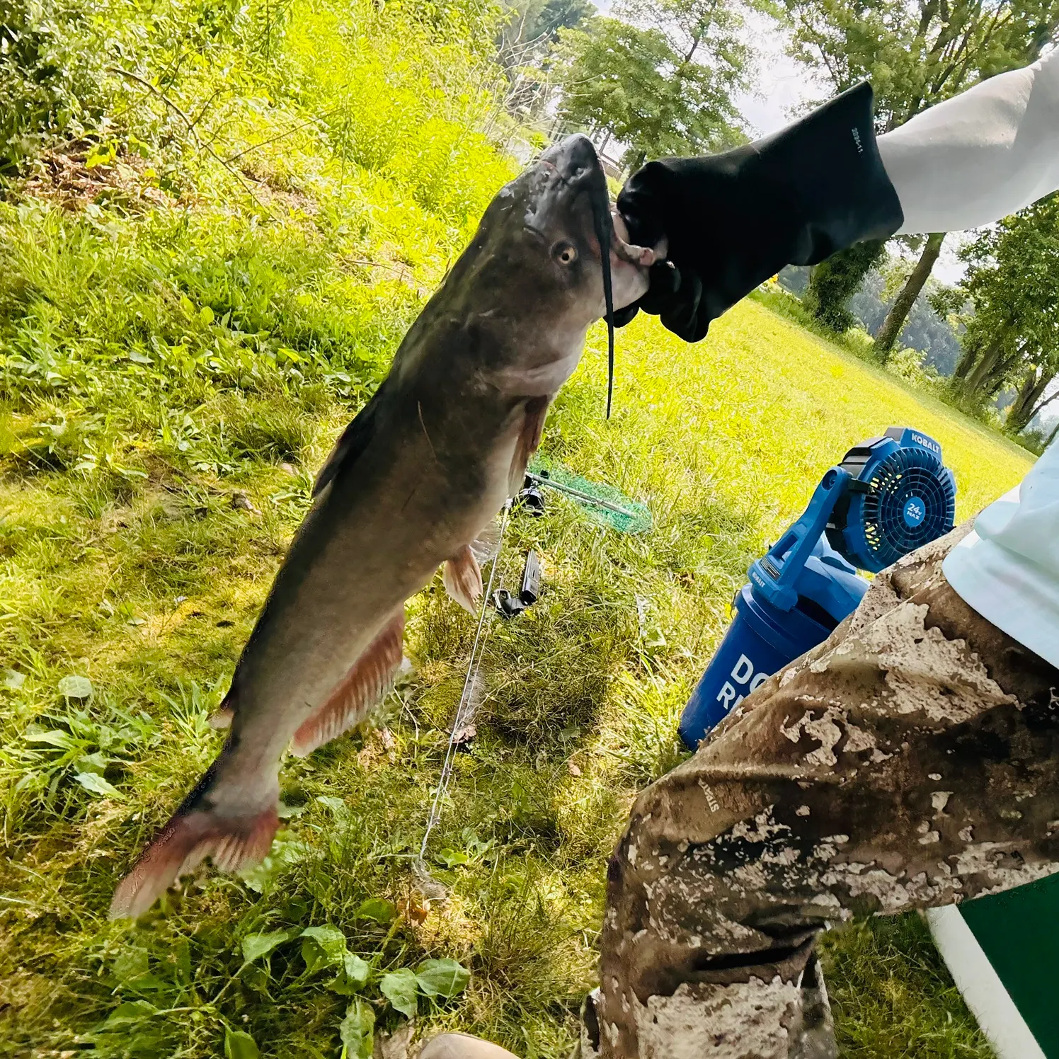 catch