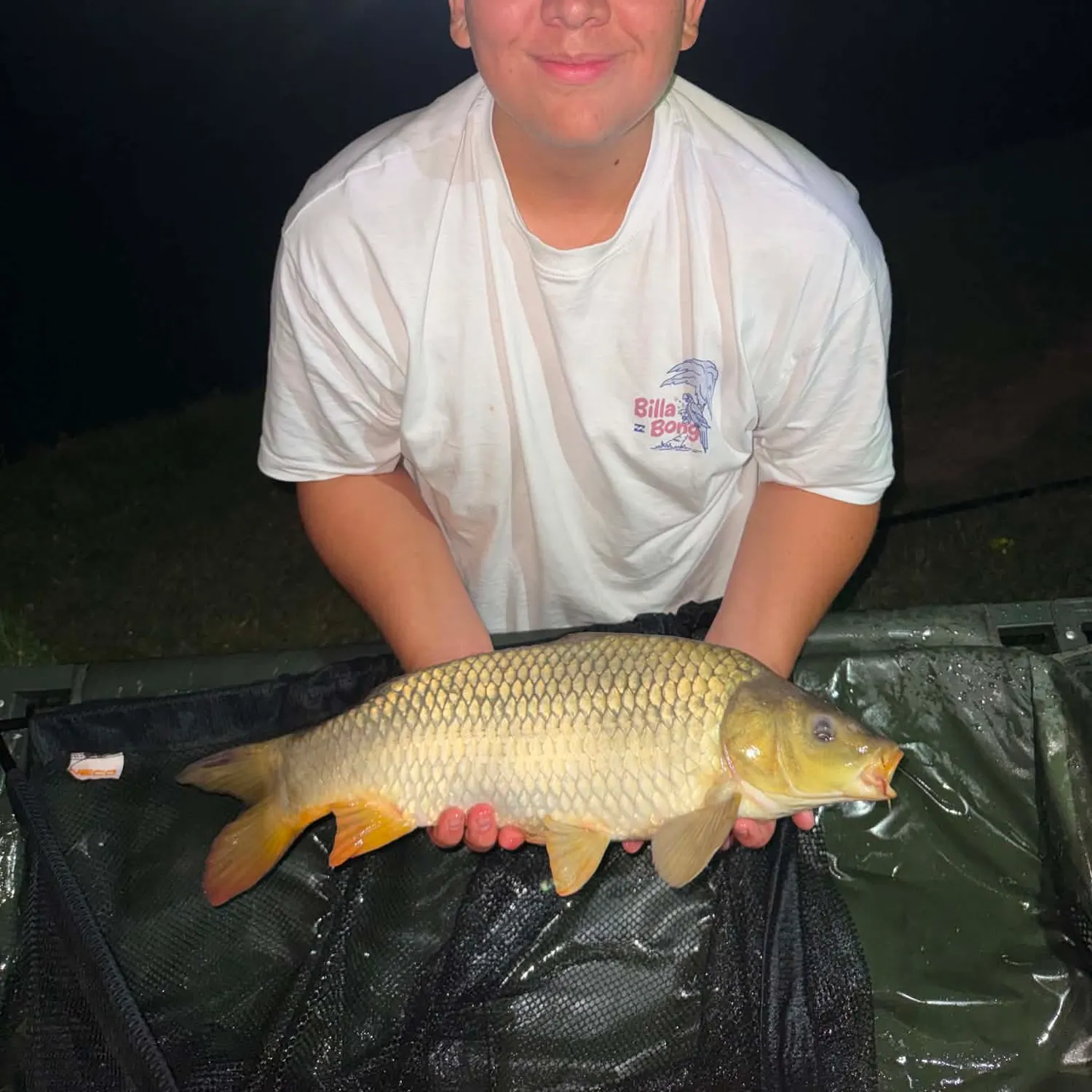 Common carp caught on Fishbrain