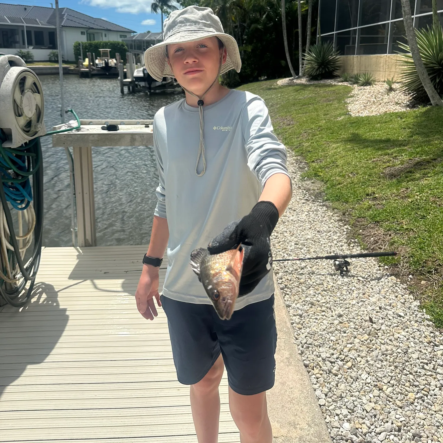 The most recent Mangrove snapper catches on Fishbrain