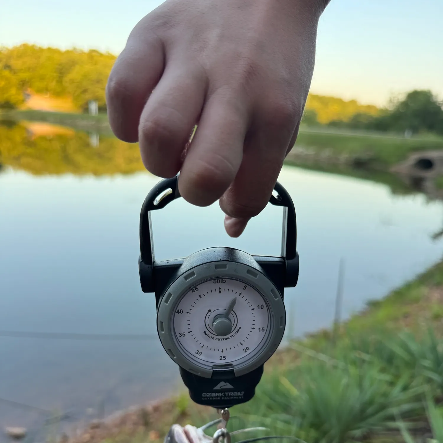 Channel catfish caught on Fishbrain