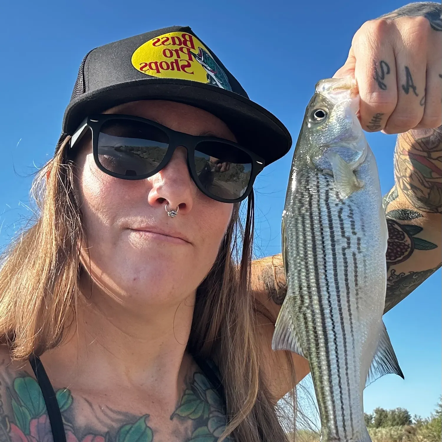 Striped bass caught on Fishbrain