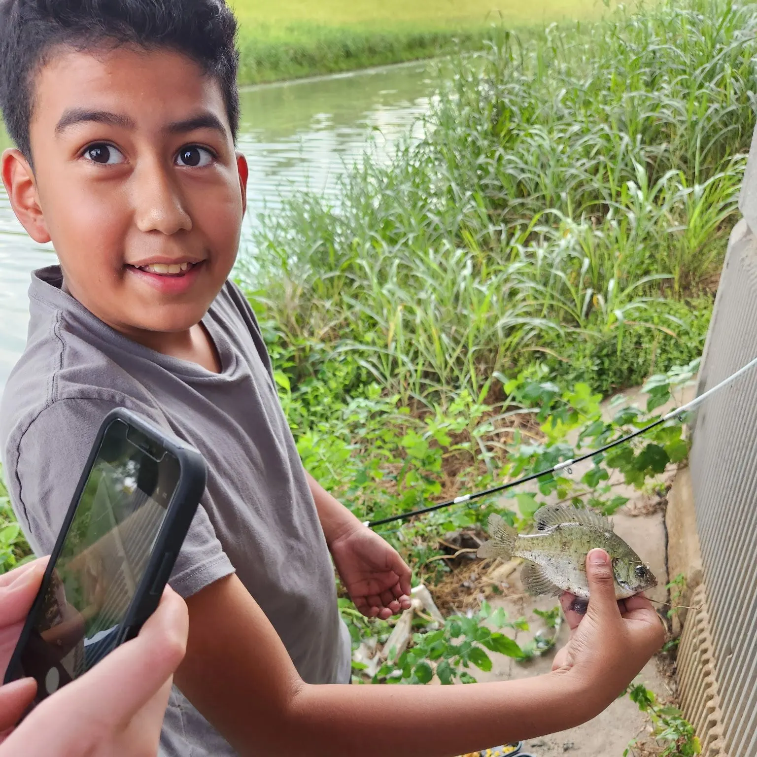 Bluegill caught on Fishbrain