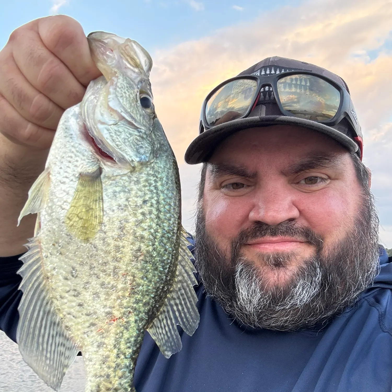 Black crappie caught on Fishbrain