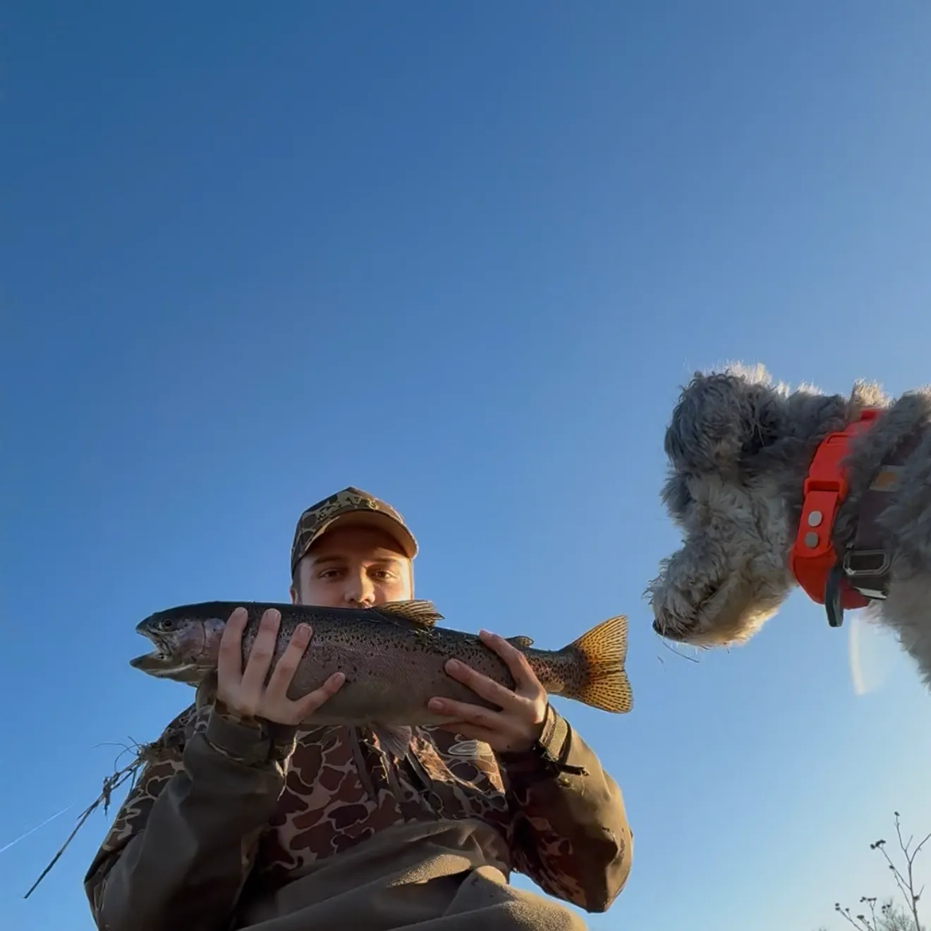 The most recent Rainbow trout catches on Fishbrain