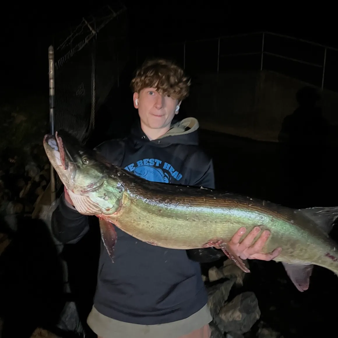 The most recent Muskellunge catches on Fishbrain
