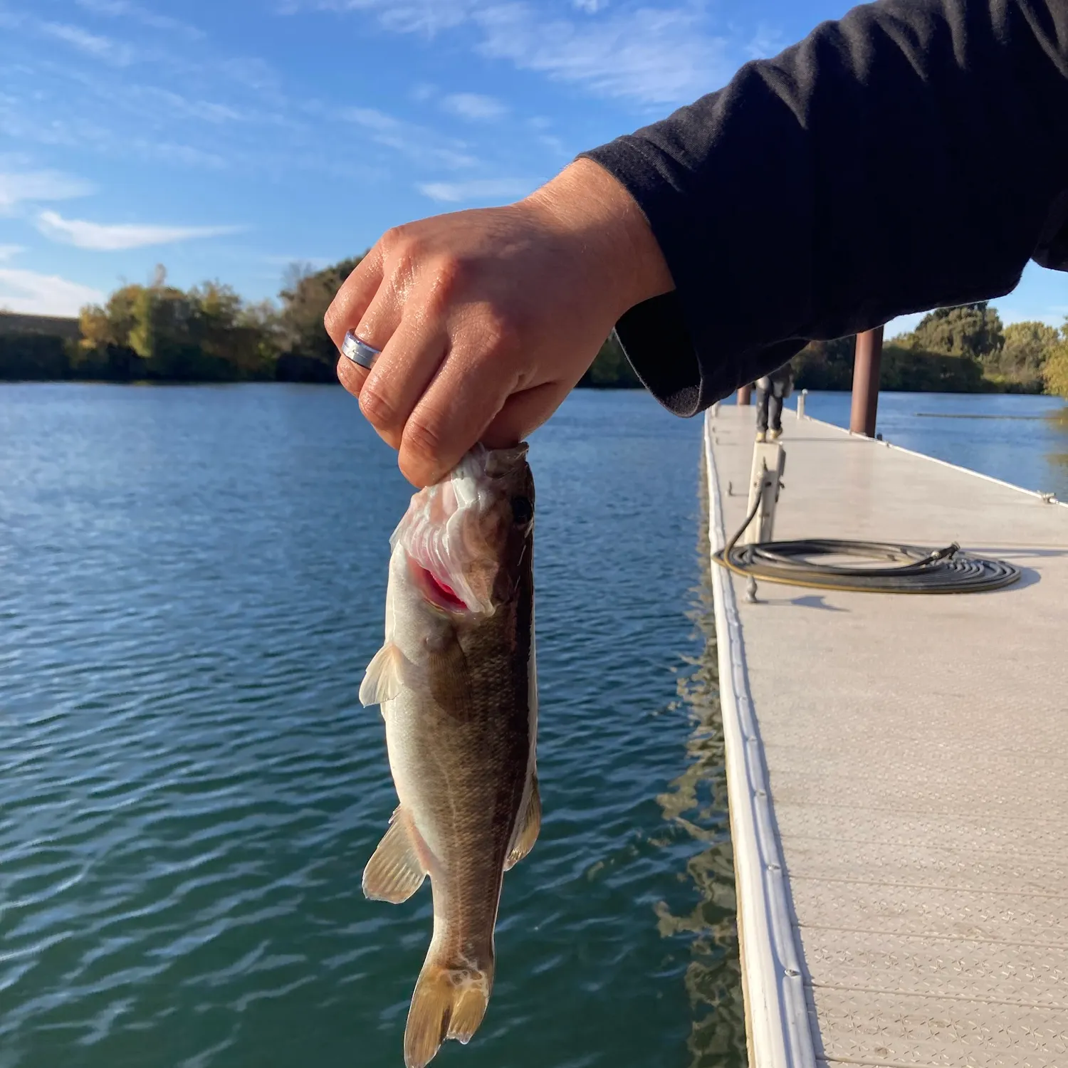 Smallmouth bass caught on Fishbrain