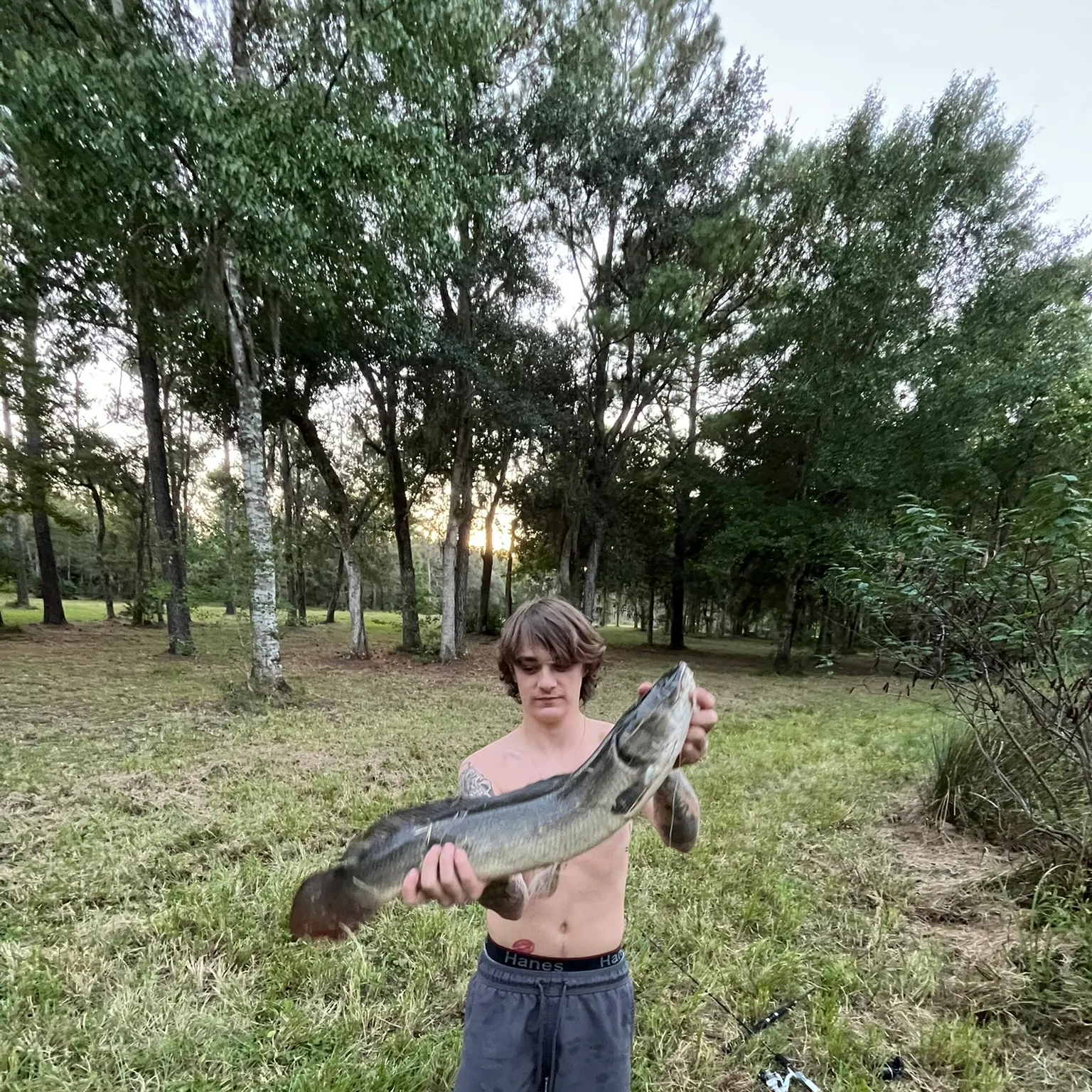 The most recent Ruddy bowfin catches on Fishbrain