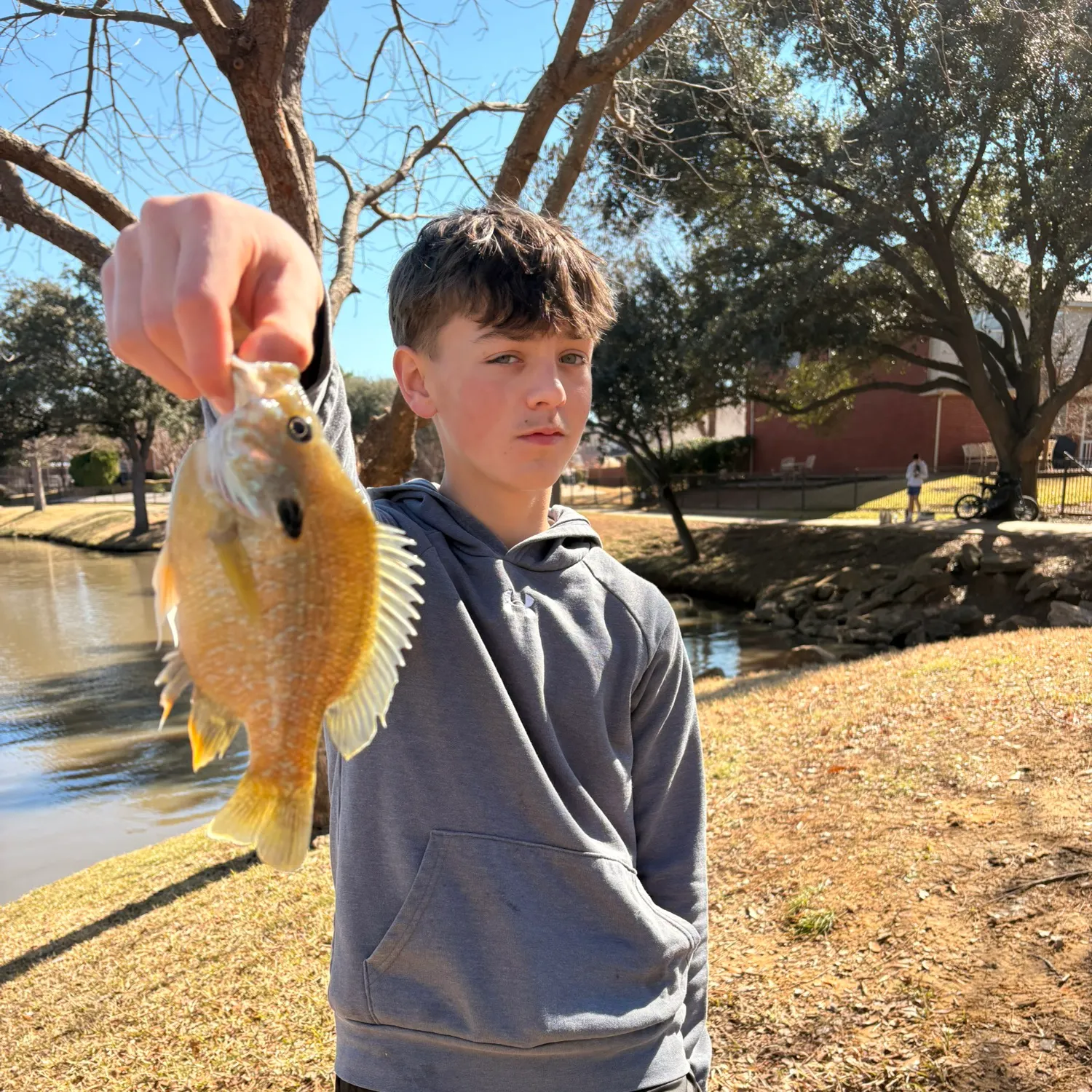 The most recent Green sunfish catches on Fishbrain