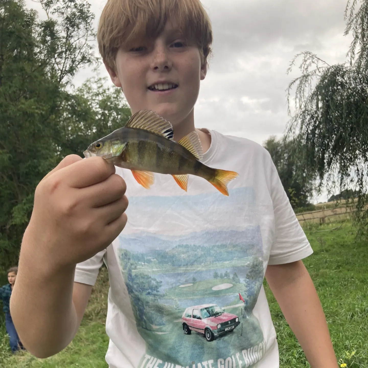 European perch caught on Fishbrain