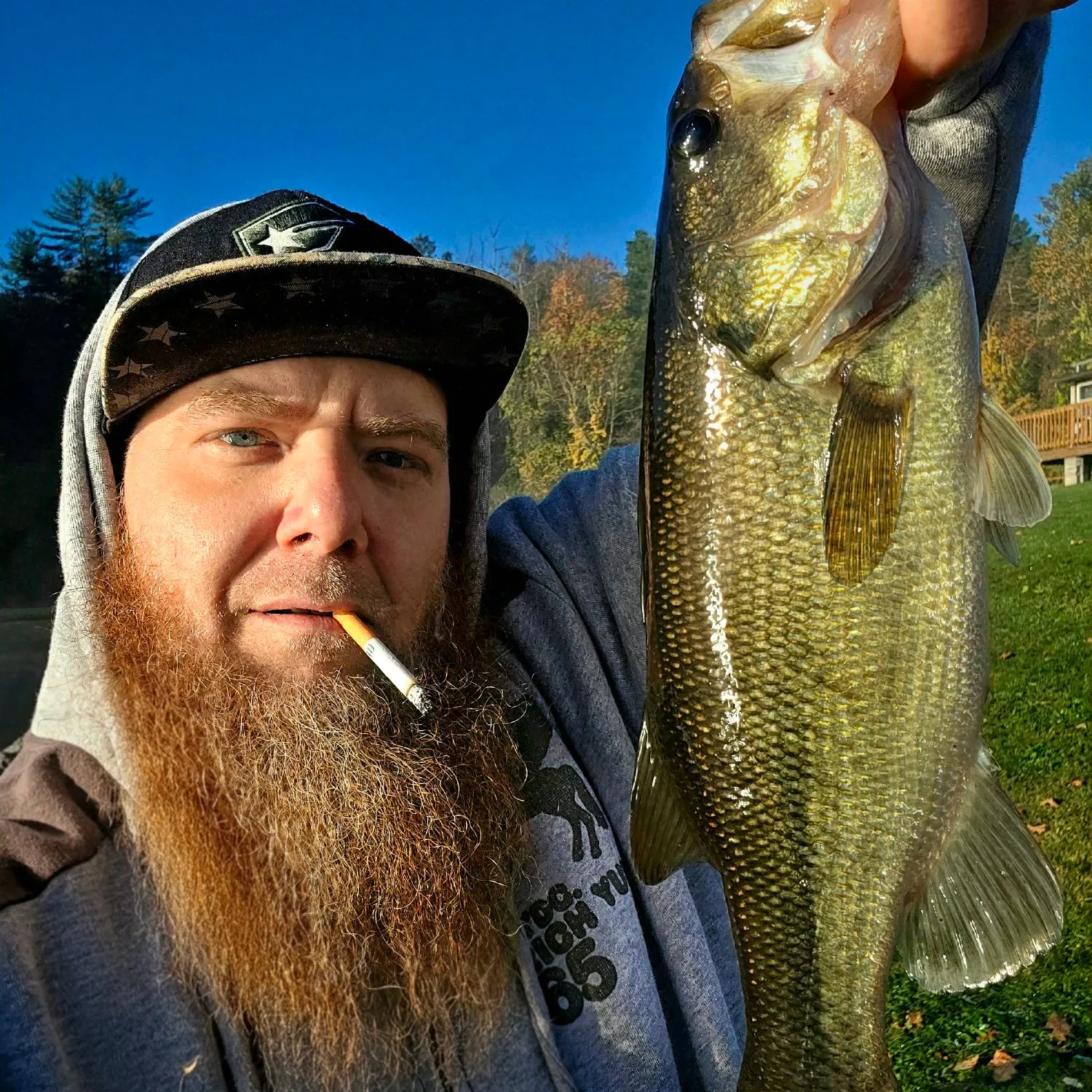 Largemouth bass caught on Fishbrain