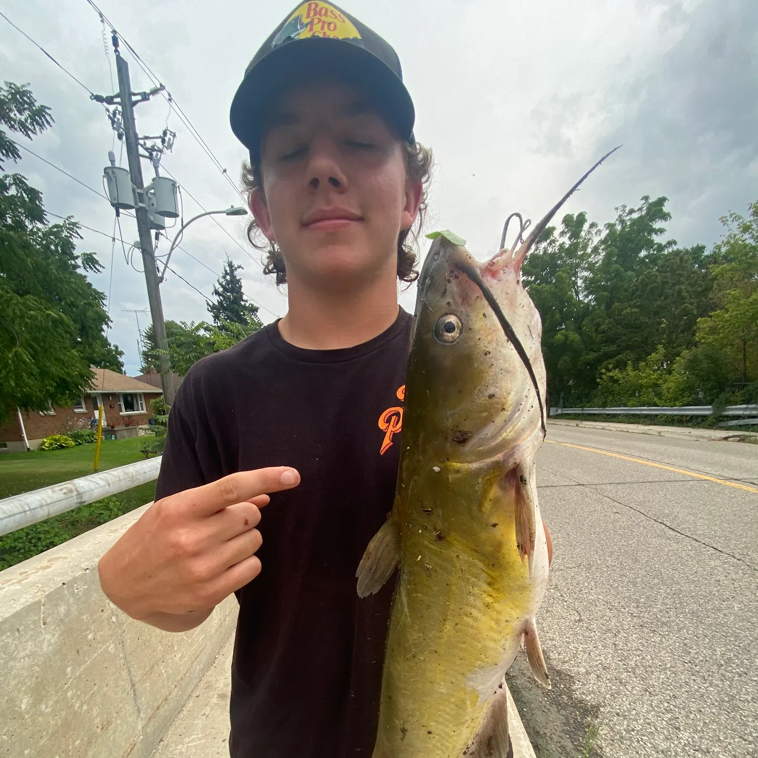 Channel catfish caught on Fishbrain