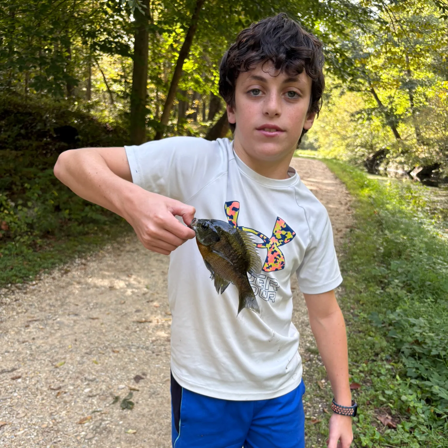 Green sunfish caught on Fishbrain