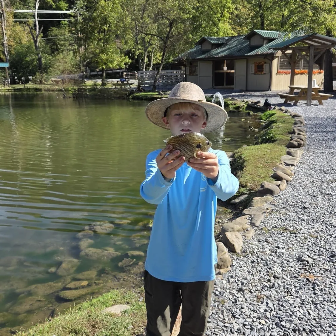Bluegill caught on Fishbrain