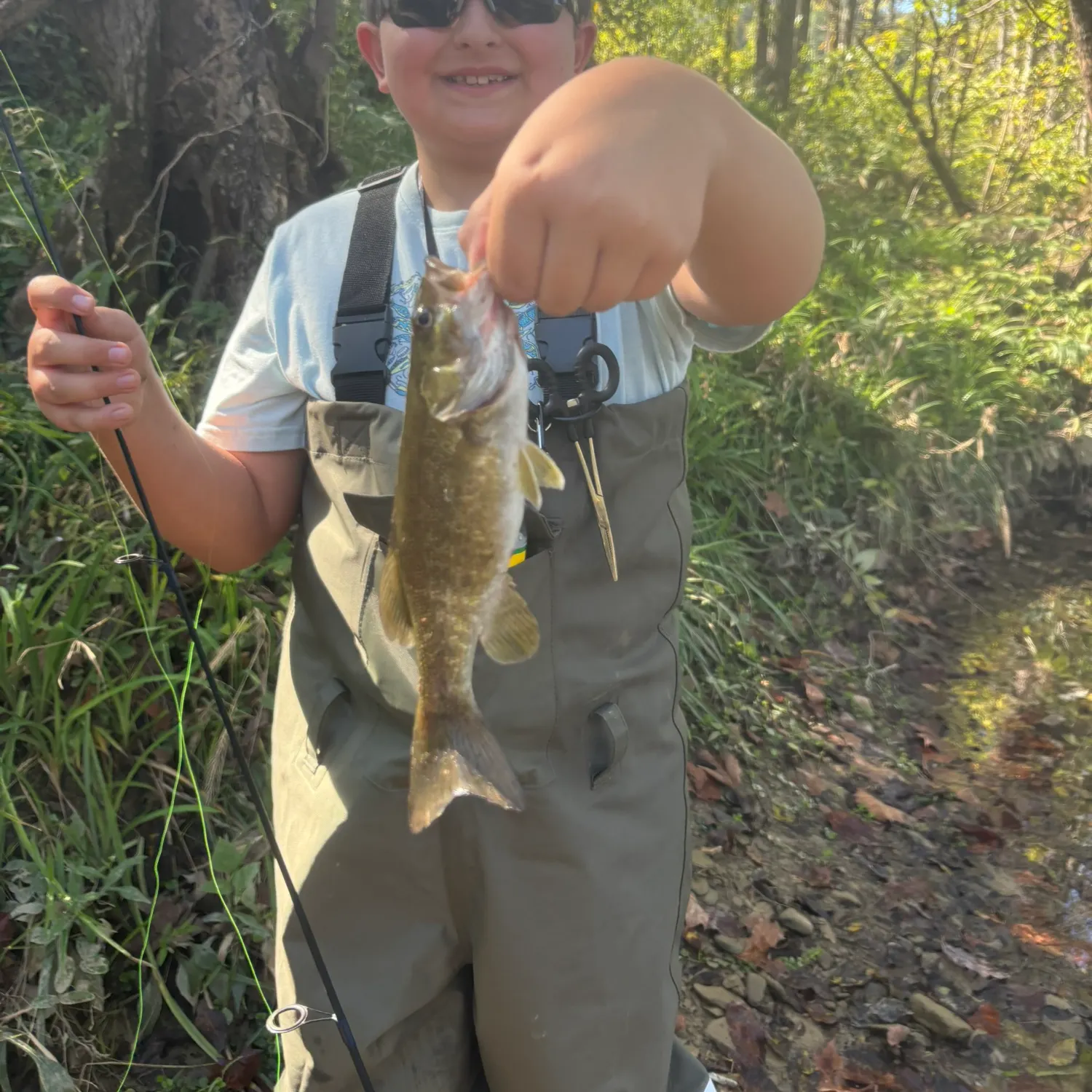 Smallmouth bass caught on Fishbrain