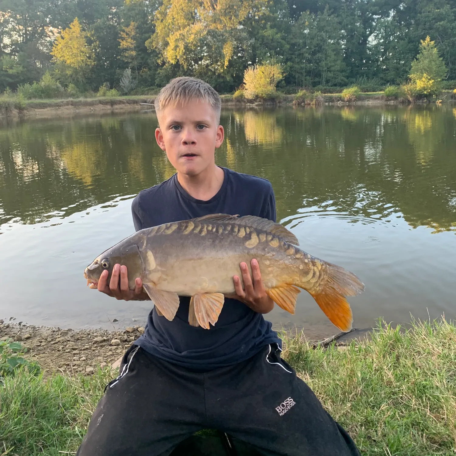 Mirror carp caught on Fishbrain