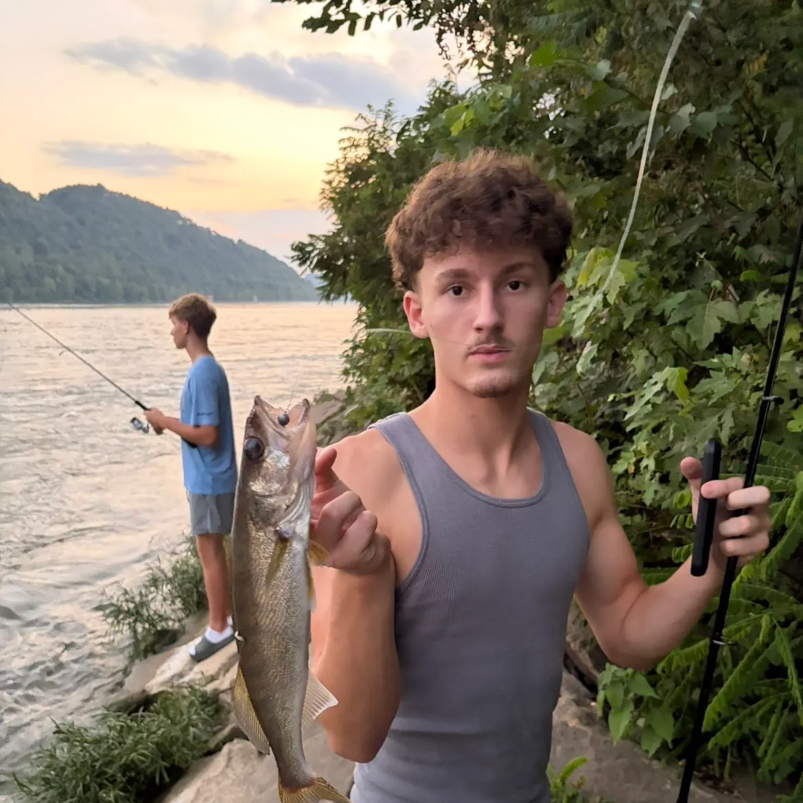 Walleye caught on Fishbrain