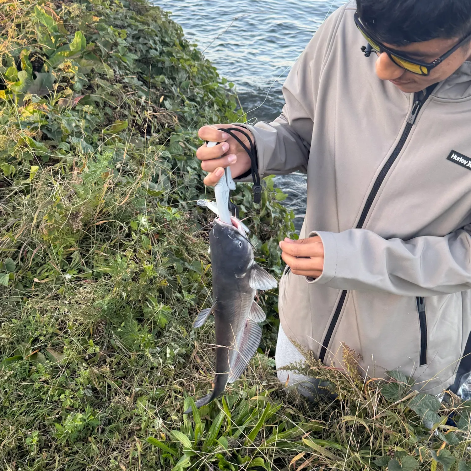 catch
